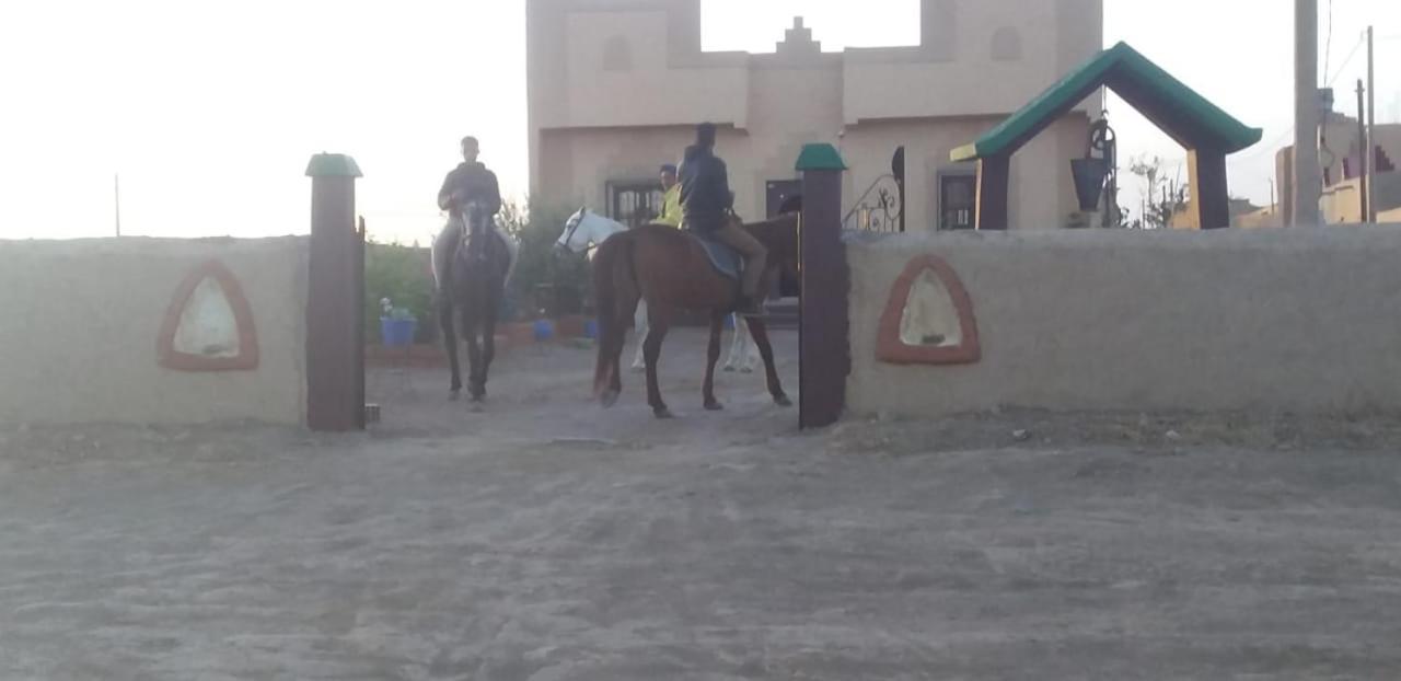 Maison Riad Tamarighte メルズーガ エクステリア 写真